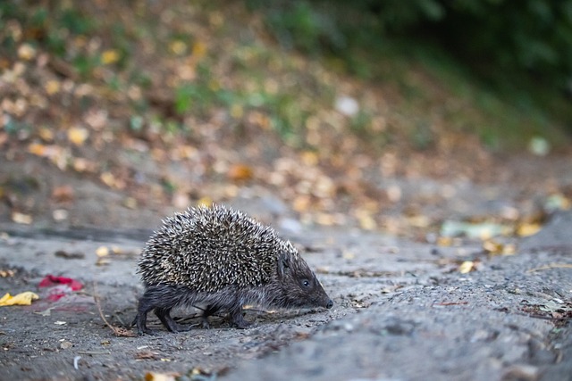 来的一段时 来的一段时